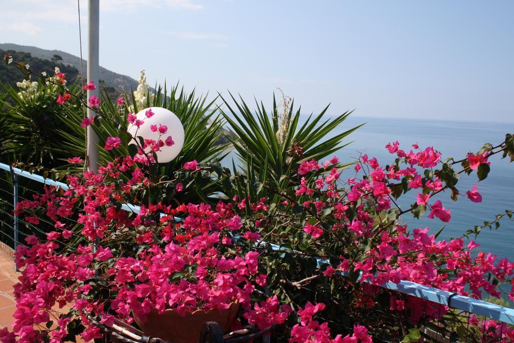 Camere & Case Vacanze Lo Scoglio Кастель-ди-Туса Экстерьер фото