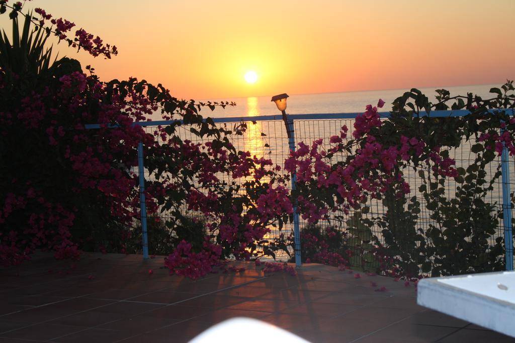 Camere & Case Vacanze Lo Scoglio Кастель-ди-Туса Экстерьер фото
