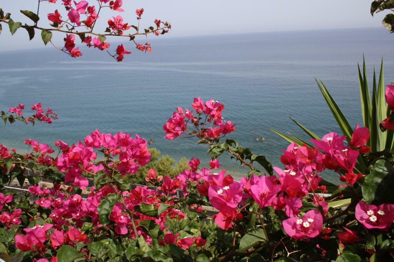 Camere & Case Vacanze Lo Scoglio Кастель-ди-Туса Экстерьер фото